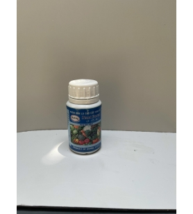 PHÂN BÓN LÁ CAO CẤP PLANT POWER 100ML