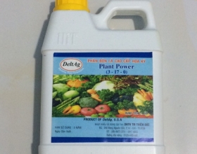 PHÂN BÓN LÁ CAO CẤP PLANT POWER 1L