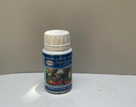 PHÂN BÓN LÁ CAO CẤP PLANT POWER 100ML