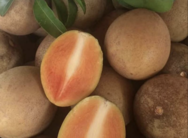 Cách Trồng Cây Hồng Xiêm