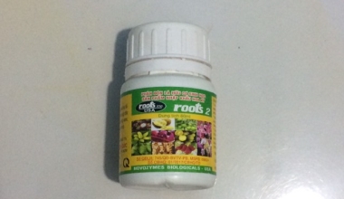 Phân bón ROOT 2 – Phân bón hữu cơ kích thích rễ an toàn